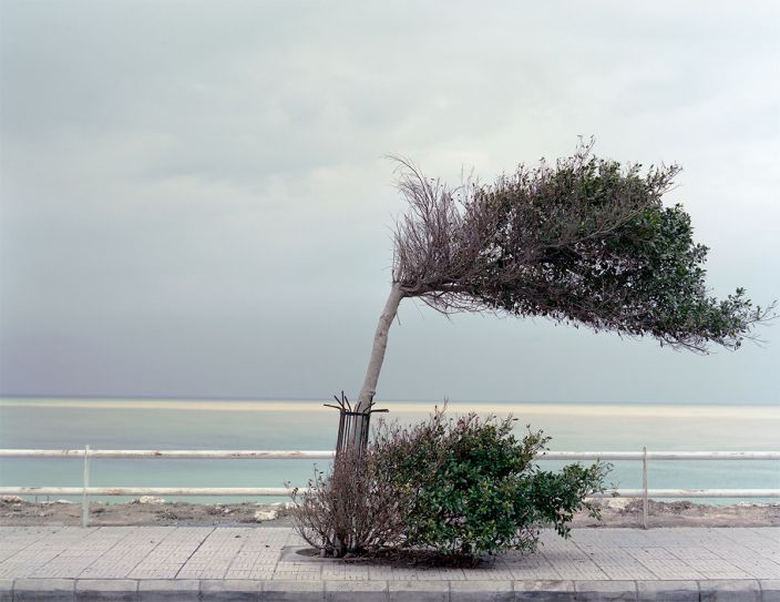 Beirut Untitled (Detail), 2012, Digital pigment print, Edition of 25