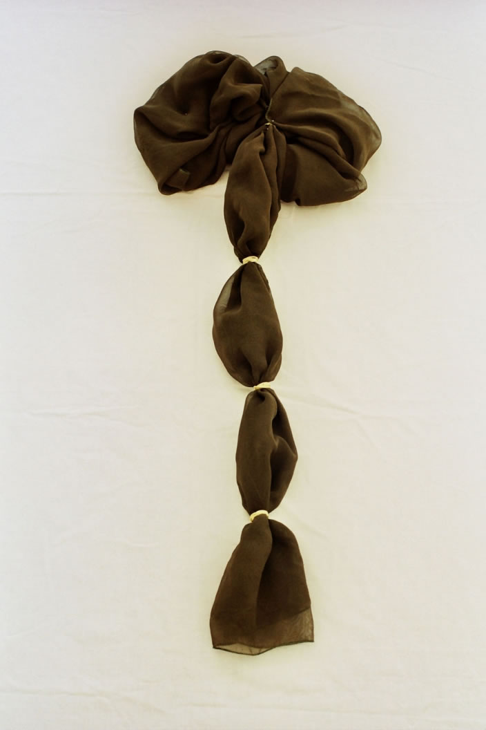 Ziad Antar, Veil Series, 2007, C-print, 32 x 50 cm