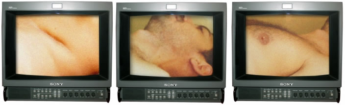 Ali Cherri, Triptych - Studies from a Human Body, 2012, 3-channel video installation, Edition of 5